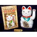 3 x Winkekatze winkende Katze wei� 13 cm