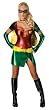 Sexy Adult Robin Costume
