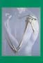 Human Anatomy (3rd Edition)