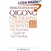 Qigong for Treating Common Ailments: The Essential Guide to Self Healing