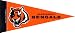 Football Pennants: NFL Mini Cincinnati Bengals Pennant
