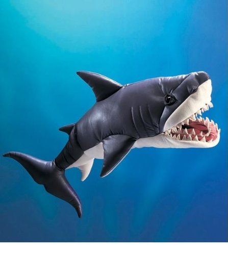 Great White Shark Great White Shark