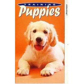 Training Puppies
