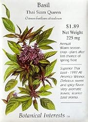 Basil Thai Siam Queen Heirloom Seeds 150 Seeds