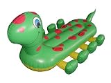 The Caterpillar