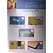 First Steps - 20 Piece Safety Starter Kit - Fridge Locks Socket Covers Safety Latches..