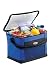Outdoor Living : Thermos IceBound Cooler 12 Cans 13L Blue