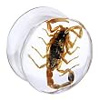 16mm Organic Scorpion Resin Saddle Plug