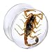 16mm Organic Scorpion Resin Saddle Plug