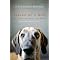 My favorite dog books