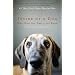 Books on Dogs