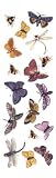 Diamond Tech Fuseworks Decals: Bug-A-Boos