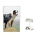 Australian Shepherd Flip Top Lighter