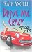 Books : Drive Me Crazy