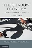 The shadow economy : an international survey