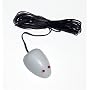 Rat Zapper Rat Tale
