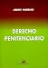 Book Derecho Penitenciario: Actividad Delictual Responsabilidad y Rehabilitacion Progresiva