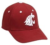 Washington State Cougars Child One-Fit Hat