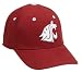 Washington State Cougars Child One-Fit Hat