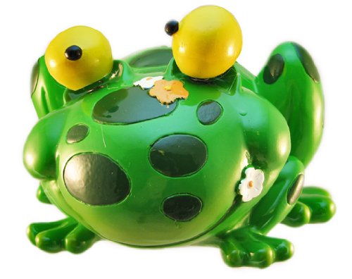 Image #1 of `Scratch and Dent` Adorable