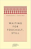 Waiting for Foucault, Still (Paradigm (Chicago, Ill.), 1.)