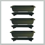 12 inch Bonsai Pots with Trays | 3 pack from joebonsai