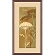 Queen Anne's Lace II Wall Art