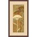 Queen Anne's Lace II Wall Art