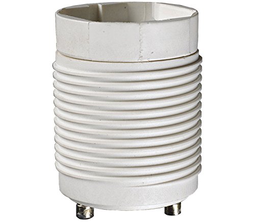 Sea Gull Lighting 90028 Ballast and Socket