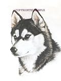 Siberian Husky - Portrait by Cindy Farmer