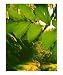 Lost Fantasy Photographic Poster Print by Joy Williams, 16x20