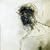 Passion: Music For The Last Temptation Of Christ