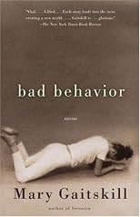 Bad Behavior (Vintage Contemporaries)