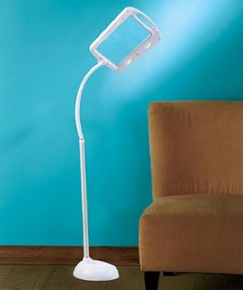 Amazon.com: Full-page Magnifier Floor Lamp: Industrial & Scientific
