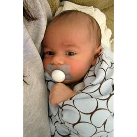 Swaddle Designs ���ɂ̂�����݃u�����P�b�g �u���E���T�[�N�� SD-016