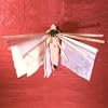 Sun maid wall mounted clothes airer
