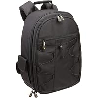 AmazonBasics Backpack for SLR Cameras and Accessories (Black)