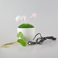 BestDealUSA Romantic Mushroom LED Night Light Cute Lamp Ceramic