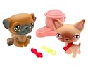 Littlest Pet Shop: Chihuahu and Pug