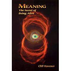 Meaning : The Secret of Being Alive