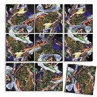 B Dazzle Wilderness Adventure Scramble Squares 9 Piece Puzzle by B.Dazzle