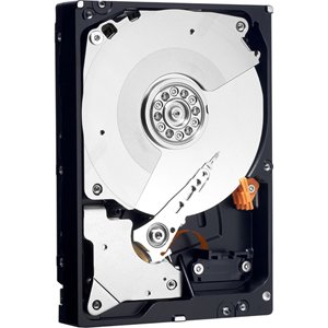 price Western Digital 