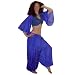 Brilliant Blue Silk Harem Pants