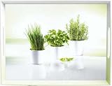 EMSA Tablett 40 x 31 cm   Herbs