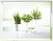 EMSA Tablett 40 x 31 cm ¿ Herbs