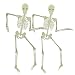 Mr. Light Set of 2 Medium Glow in the Dark Skeletons, 36in