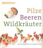 Pilze Beeren Wildkräuter: Bestimmen & Zubereiten Image of Pilze Beeren Wildkräuter: Bestimmen & Zubereiten