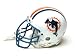 Miami Dolphins Authentic Mini NFL Helmet by Riddell