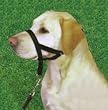Halti Headcollar Black Size 1