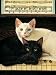 Ebony and Ivory 1,000 Piece Cat Jigsaw Puzzle